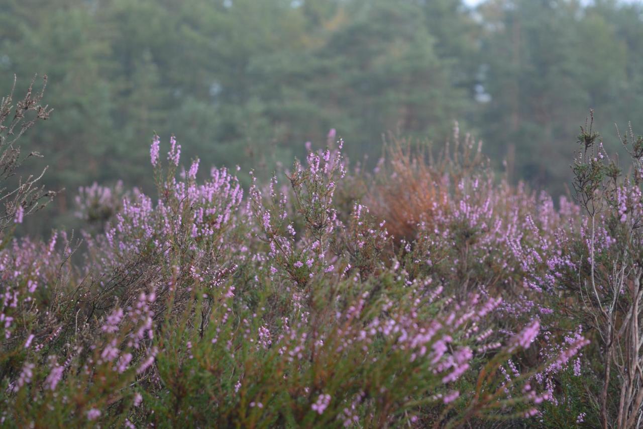 B&B De Loenense Bossen Εξωτερικό φωτογραφία