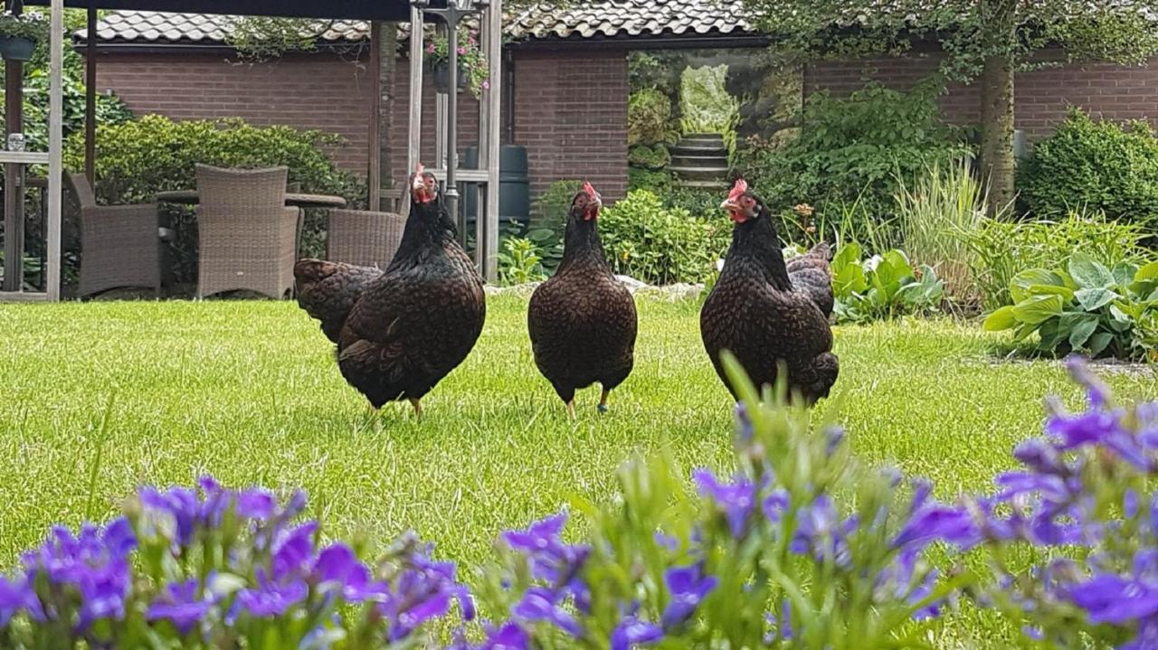 B&B De Loenense Bossen Εξωτερικό φωτογραφία